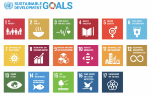United Nations Sustainable Development Goals
